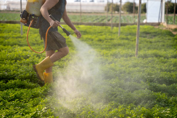 Pest Prevention Services in Selmont West Selmont, AL