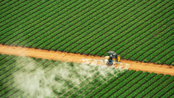 Best Local Pest Control Services  in Selmont West Selmont, AL