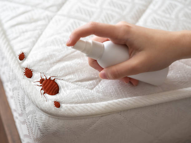 Best Insect Control  in Selmont West Selmont, AL